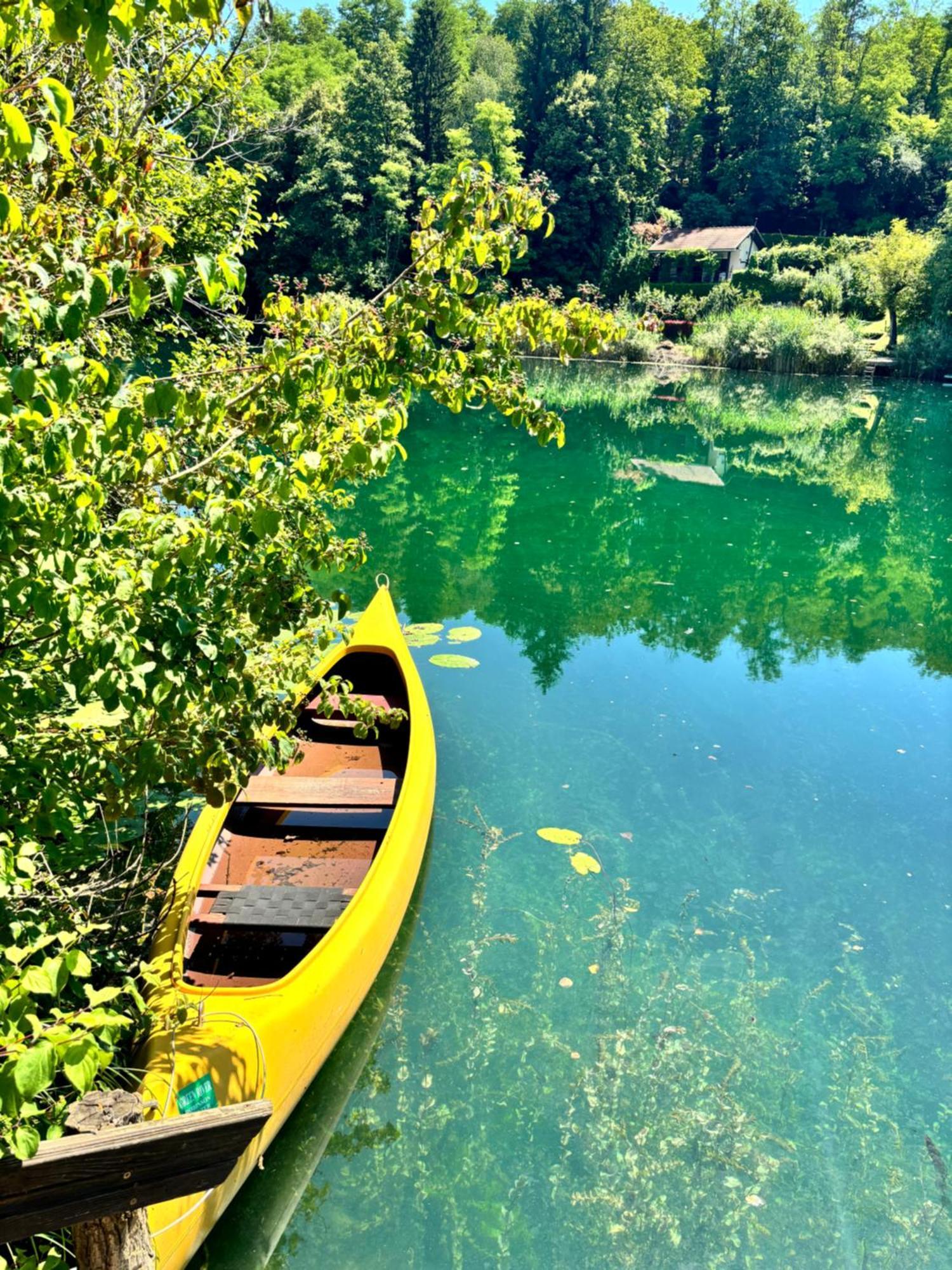 Green River - Robinzonski Kamp Hotel Duga Resa Eksteriør billede